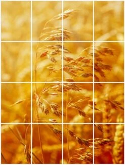 Foto Tegelsticker 20x15 'Graan' 80x60 Cm Hxb