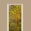 Deursticker Herfst Bladeren 2 Deursticker Herfst Bladeren -Plakfolie Winkel 2099661447