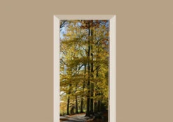 Deursticker Beuken In De Herfst