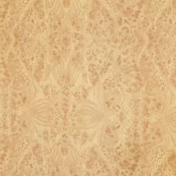 Plakfolie Mees Hout Glans 45x200cm