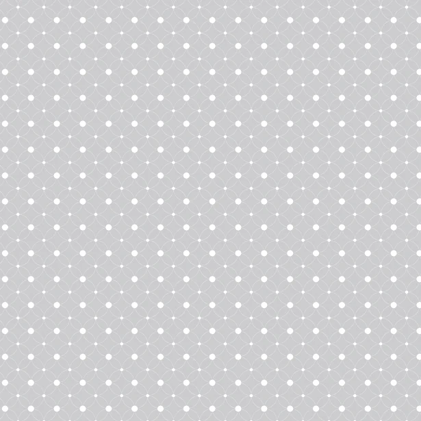 Plakfolie Geometrische Cirkels Grijs (45cm) 1 Plakfolie Geometrische Cirkels Grijs (45cm)